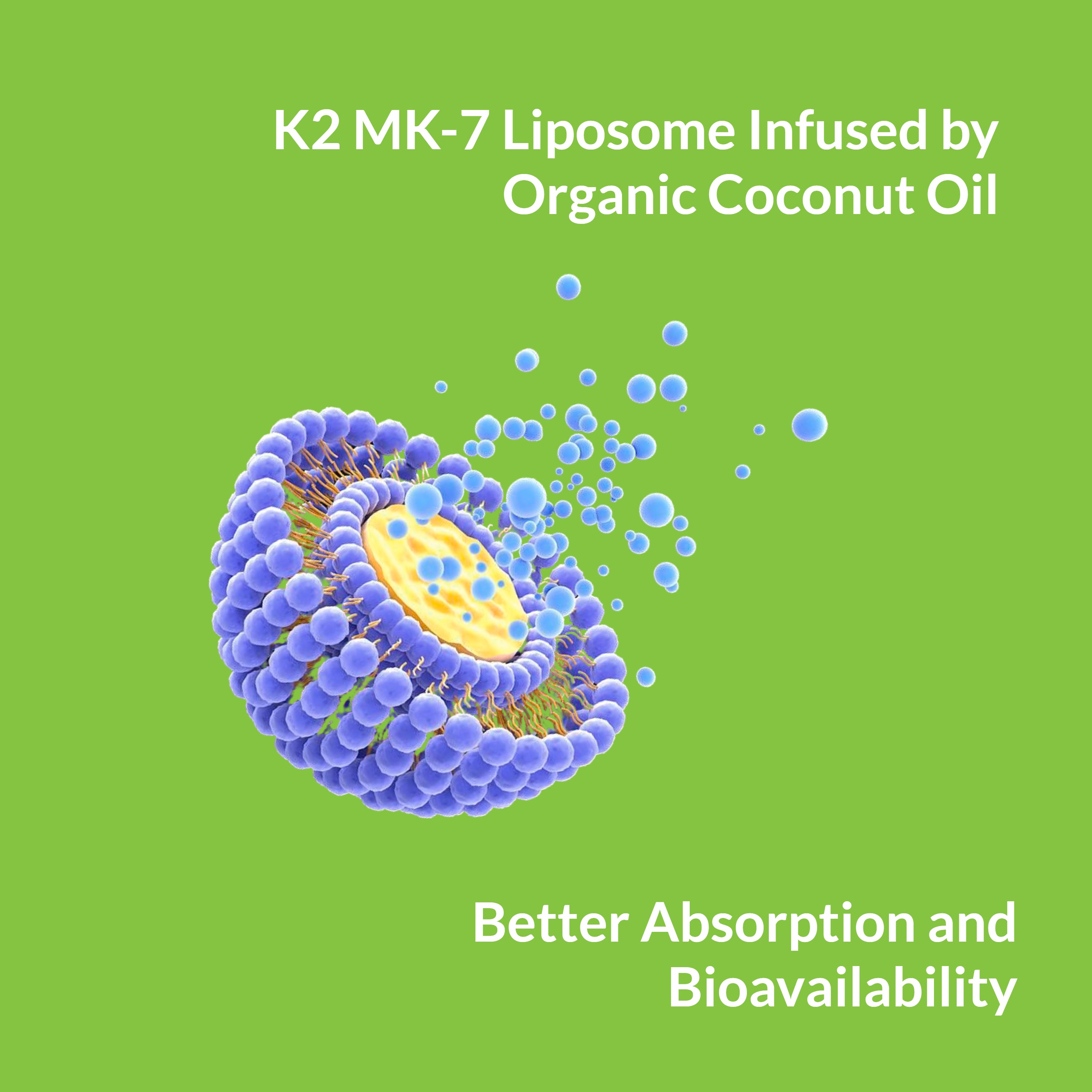 Liposomal Vitamin K2 MK-7 180mcg