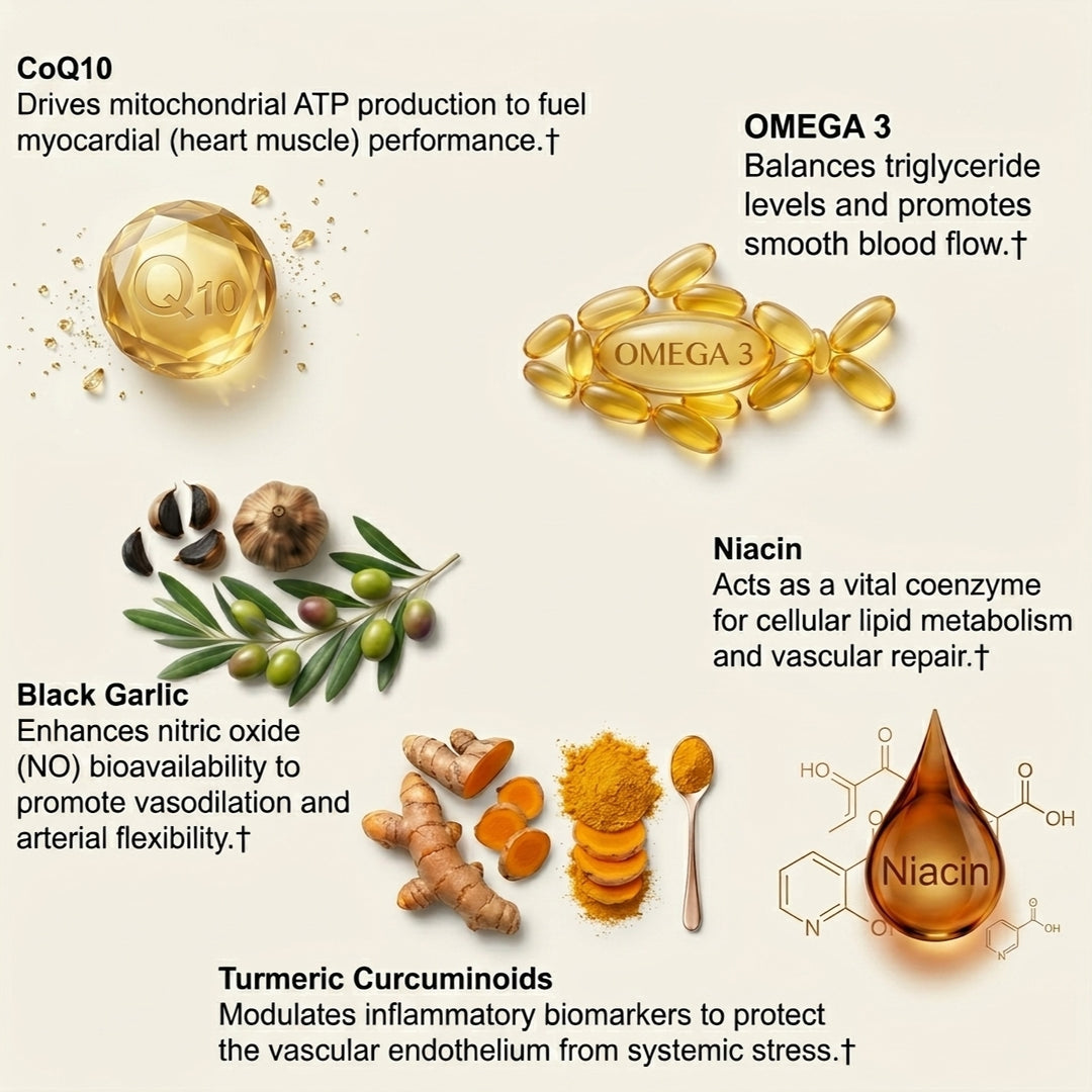 Plant Sterols Citrus Bergamot