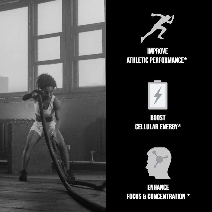 Micronized Creatine Monohydrate 400 G